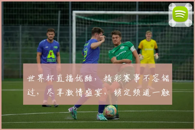 世界杯直播优酷，精彩赛事不容错过，尽享激情盛宴，锁定频道一触即达