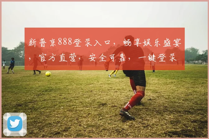 新普京888登录入口，畅享娱乐盛宴，官方直营，安全可靠，一键登录，体验无限