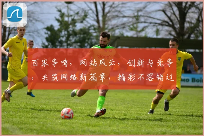 百家争鸣，网站风云，创新与竞争，共筑网络新篇章，精彩不容错过
