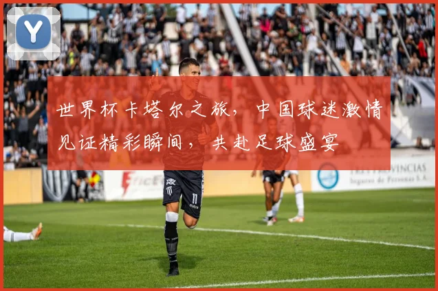 世界杯卡塔尔之旅，中国球迷激情见证精彩瞬间，共赴足球盛宴