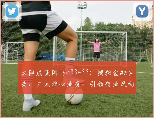 太阳成集团tyc33455：揭秘金融巨头，三大核心业务，引领行业风向标