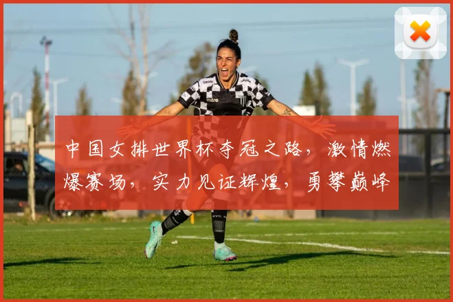中国女排世界杯夺冠之路，激情燃爆赛场，实力见证辉煌，勇攀巅峰